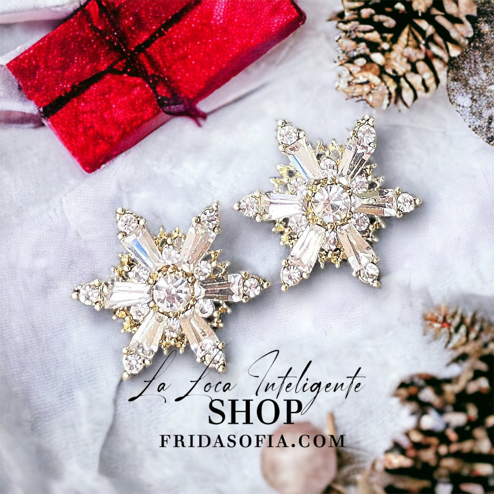 Espárragos de diamantes de nieve