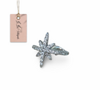 clip de estrella de la suerte