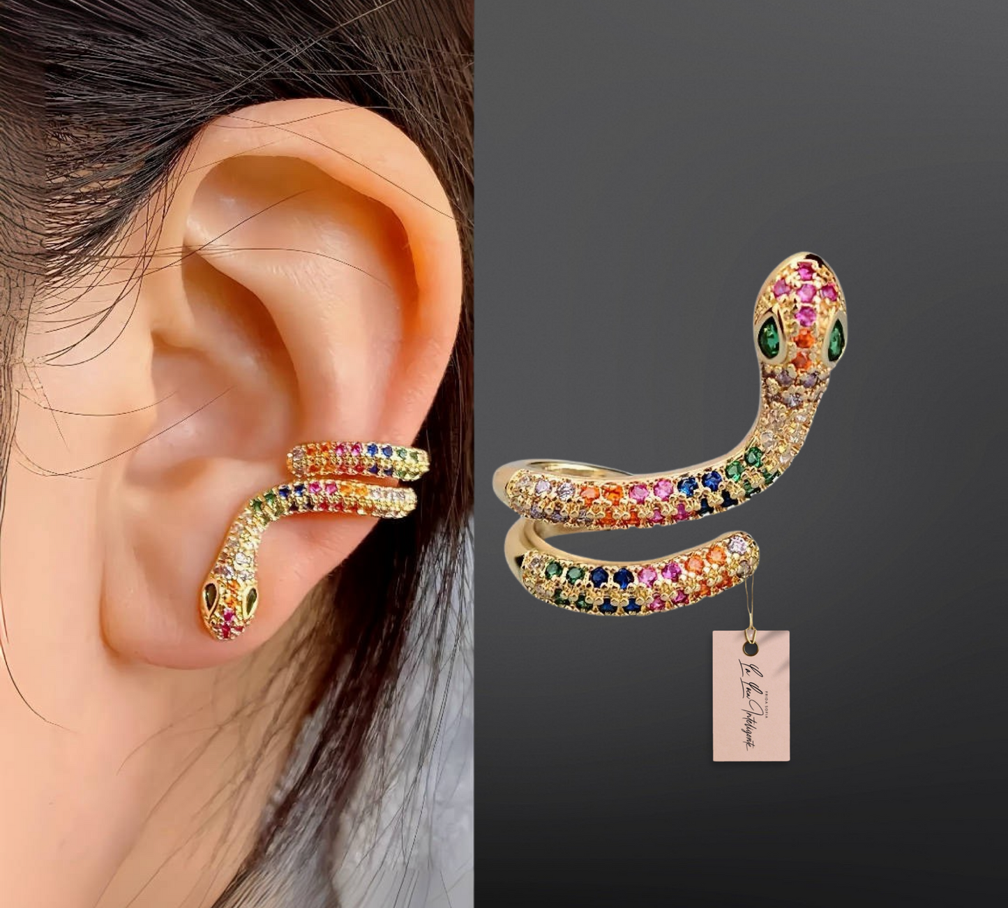 Rainbow Snake Ear CLIPcing