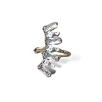 UN RECORTE DE LÍO REAL