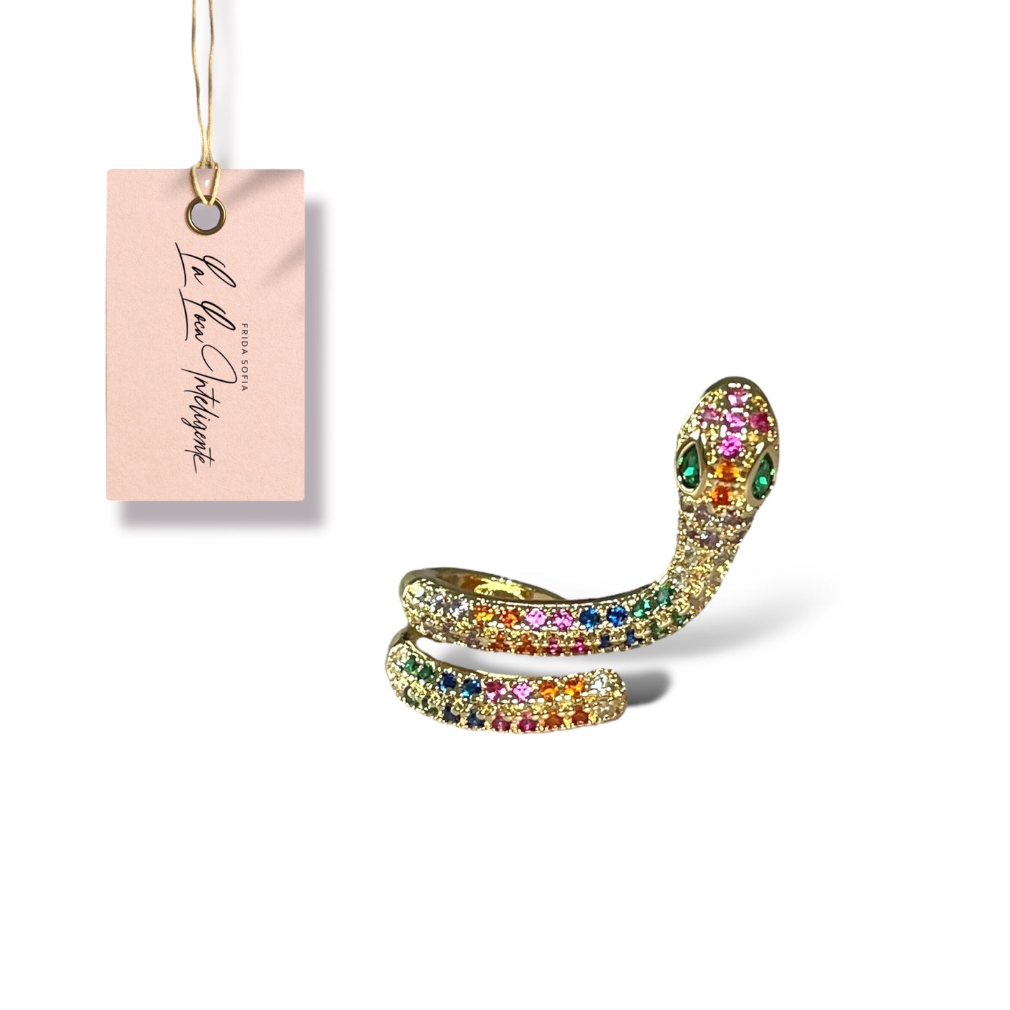 Clip de oreja de serpiente arcoíris
