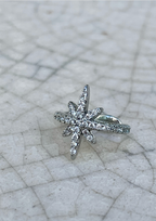 clip de estrella de la suerte